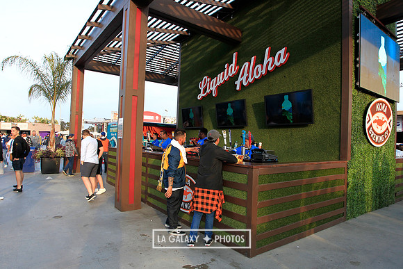 060219_LAGalaxyvsRevolution_GA_6979