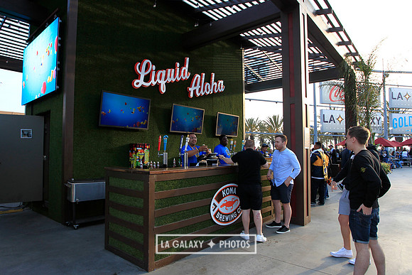 060219_LAGalaxyvsRevolution_GA_6974