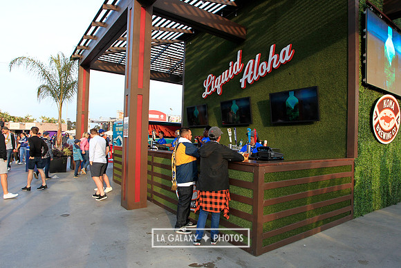 060219_LAGalaxyvsRevolution_GA_6976