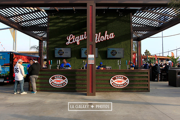 060219_LAGalaxyvsRevolution_GA_6803