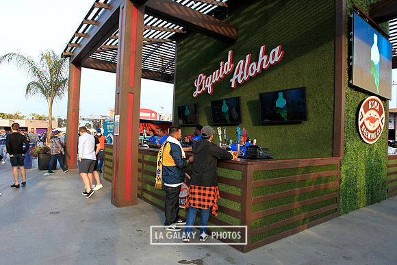 060219_LAGalaxyvsRevolution_GA_6978