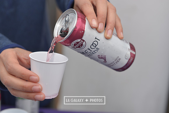 03312018_LAGalaxyvsLAFC__GA_0423