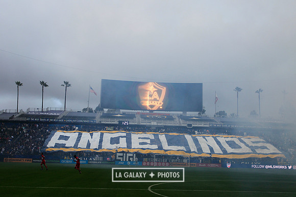 0302019_LAGalaxyvsChicago_1817