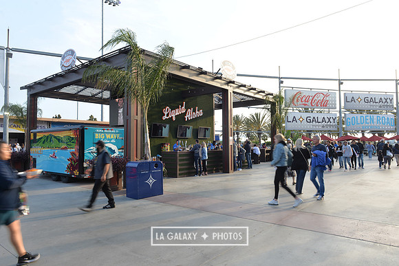 060219_LAGalaxy_vs_NERevolution_SC0445