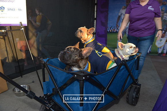 08112018_GalaxyvsMinnesota_SC_0380
