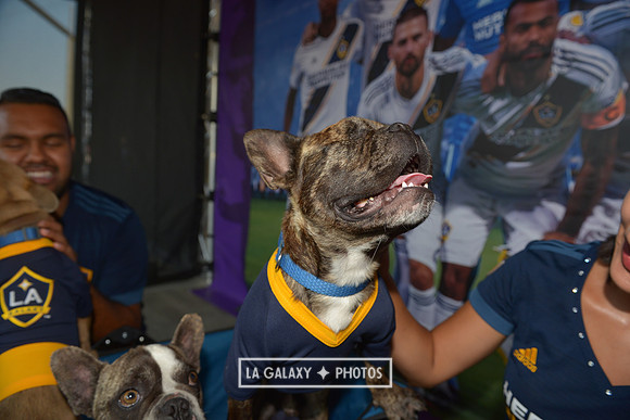 08112018_GalaxyvsMinnesota_SC_0368