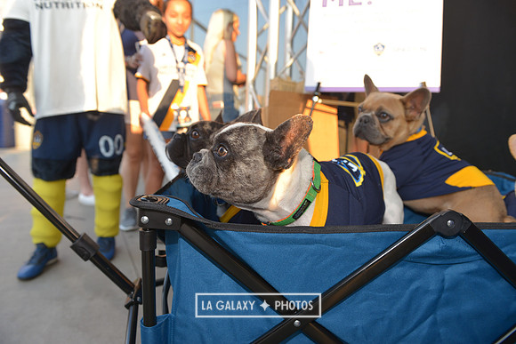 08112018_GalaxyvsMinnesota_SC_0386