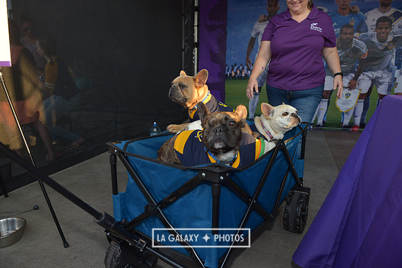 08112018_GalaxyvsMinnesota_SC_0378
