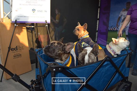 08112018_GalaxyvsMinnesota_SC_0382