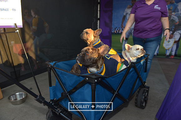 08112018_GalaxyvsMinnesota_SC_0379