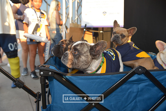 08112018_GalaxyvsMinnesota_SC_0385