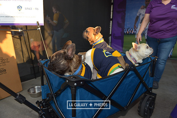 08112018_GalaxyvsMinnesota_SC_0381