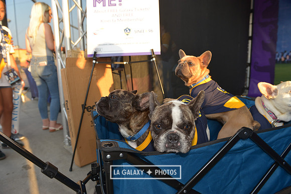 08112018_GalaxyvsMinnesota_SC_0383
