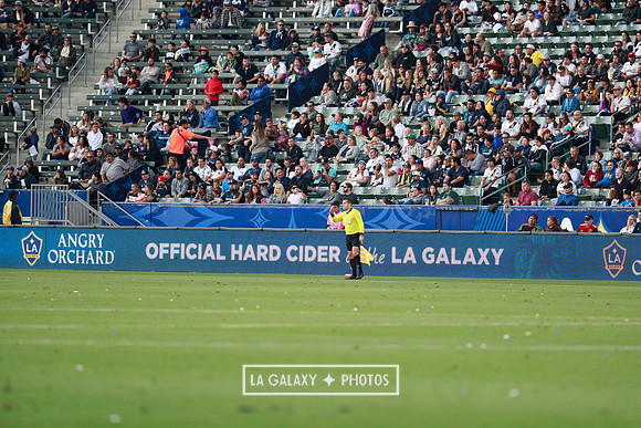 04.28.2019_LAGalaxyvsRSL_GA3130