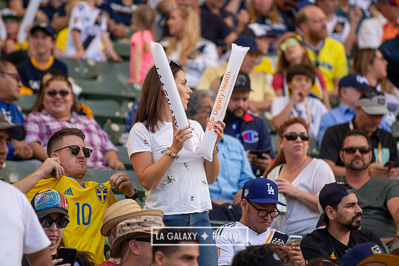 051119_LA_Galaxy_vs_NYCFC_SC_0638