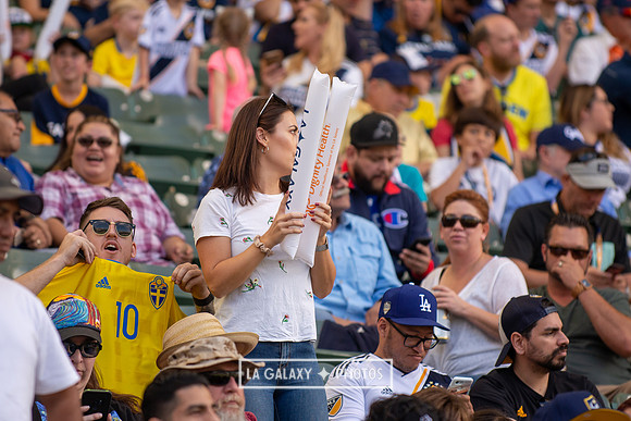 051119_LA_Galaxy_vs_NYCFC_SC_0641