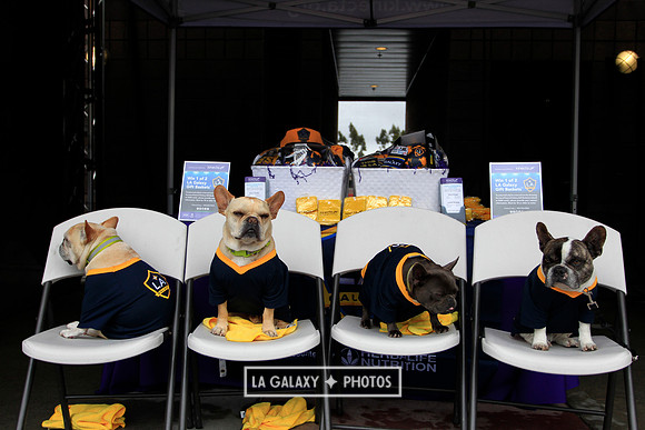 0302019_LAGalaxyvsChicago_2000