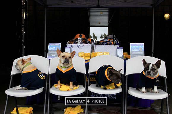 0302019_LAGalaxyvsChicago_2001