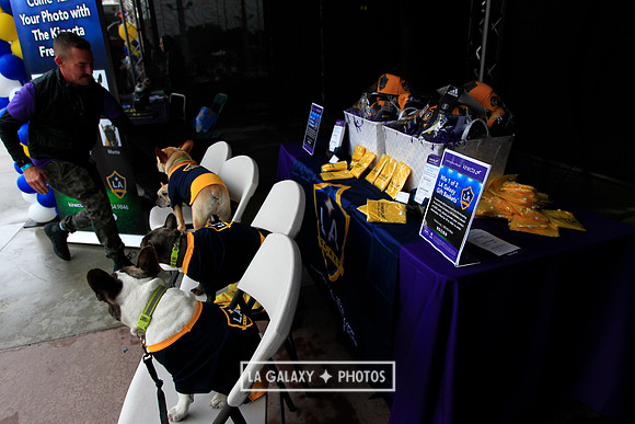 0302019_LAGalaxyvsChicago_2013