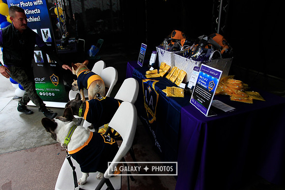 0302019_LAGalaxyvsChicago_2012