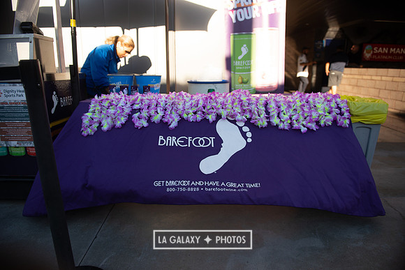 08142019_LAGalaxy_vs_FCDallas_SC_0007