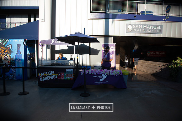 08142019_LAGalaxy_vs_FCDallas_SC_0010