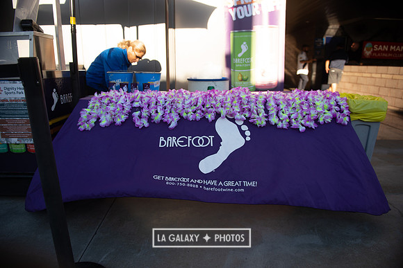 08142019_LAGalaxy_vs_FCDallas_SC_0008