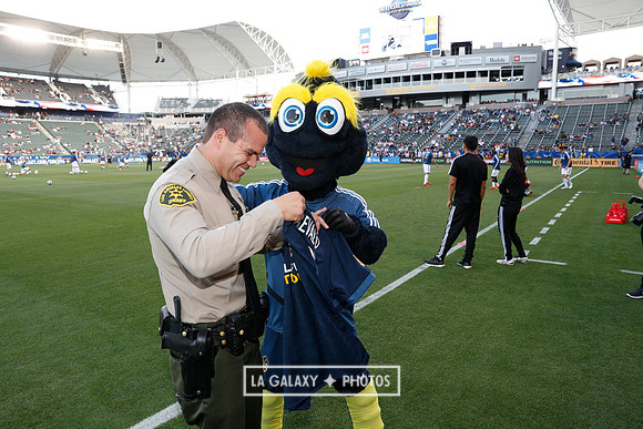 03.31.2019_LAGalaxyvsPortland_GA1878