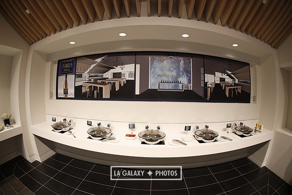 04.13.2019_LAGalaxyvsPhiladelphia_GA6555