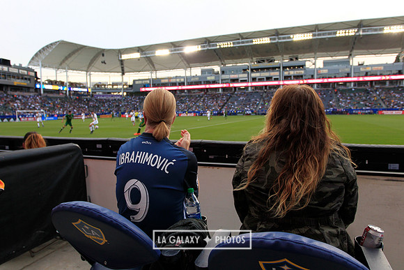 03.31.2019_LAGalaxyvsPortland_GA0623