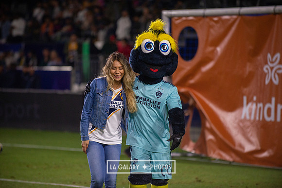 04192019_LAGalaxy_vs_HoustonDynamo_SC_1572