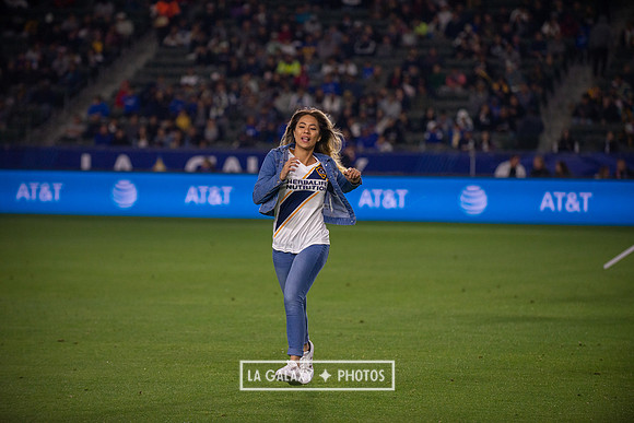 04192019_LAGalaxy_vs_HoustonDynamo_SC_1547