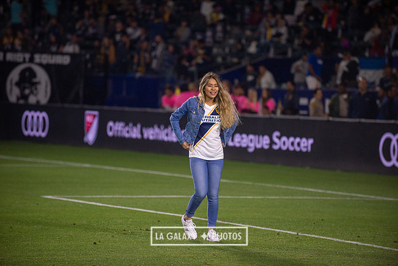 04192019_LAGalaxy_vs_HoustonDynamo_SC_1562
