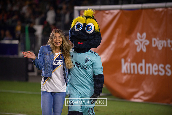 04192019_LAGalaxy_vs_HoustonDynamo_SC_1575