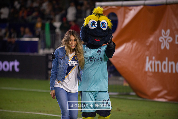 04192019_LAGalaxy_vs_HoustonDynamo_SC_1573