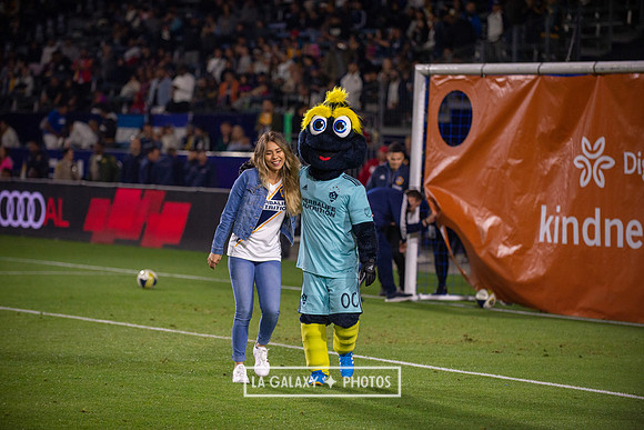 04192019_LAGalaxy_vs_HoustonDynamo_SC_1569