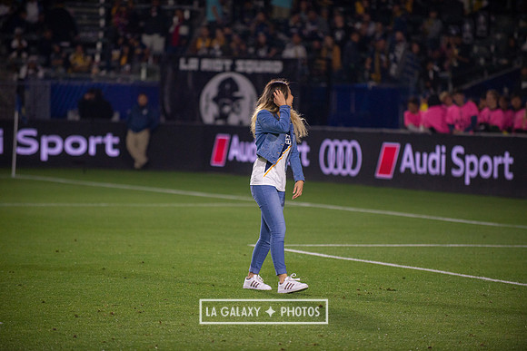 04192019_LAGalaxy_vs_HoustonDynamo_SC_1560