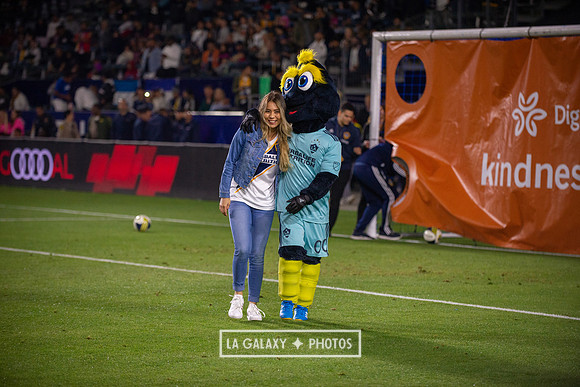 04192019_LAGalaxy_vs_HoustonDynamo_SC_1571