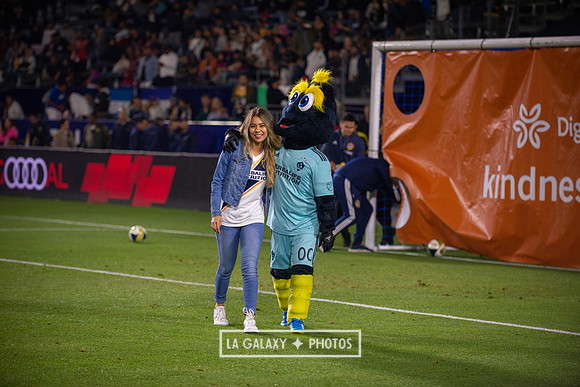 04192019_LAGalaxy_vs_HoustonDynamo_SC_1570
