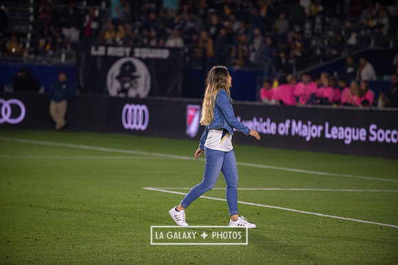 04192019_LAGalaxy_vs_HoustonDynamo_SC_1561