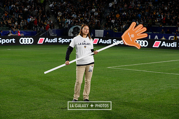 0302019_LAGalaxyvsChicago_0357