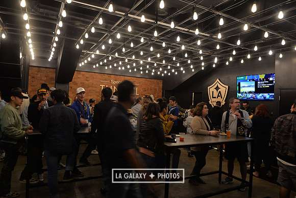 0316019_LAGalaxy_vs_MinnesotaUnitedFC_SC_1594