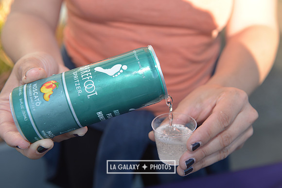 LAGalaxyvsSanJose_05252018_GA_3866