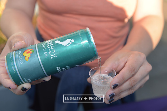 LAGalaxyvsSanJose_05252018_GA_3865