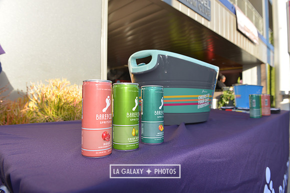 LAGalaxyvsSanJose_05252018_GA_3853