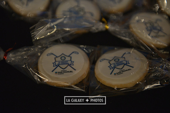 04282018_LAGalaxyvsNYRB_GA_7103