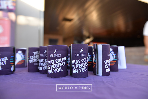 071219_LA_Galaxy_vs_SanJose_SC_1276