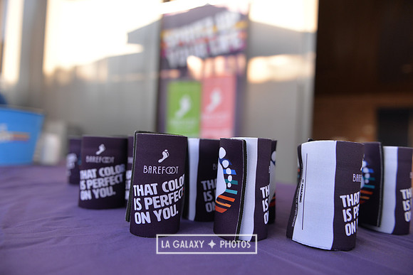 071219_LA_Galaxy_vs_SanJose_SC_1273