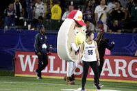 Halftime on field