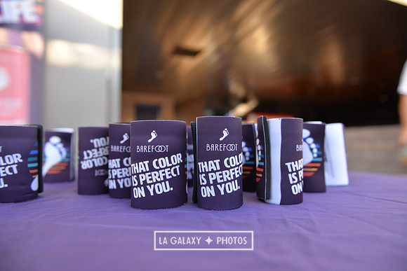 071219_LA_Galaxy_vs_SanJose_SC_1277